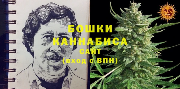 прущие грибы Семилуки