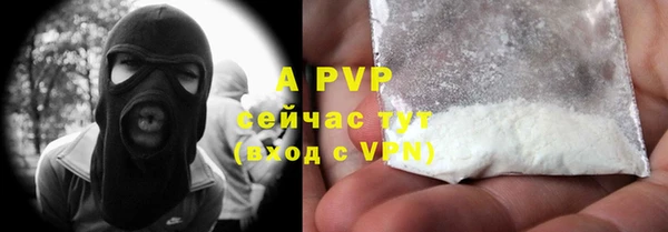 прущие грибы Семилуки