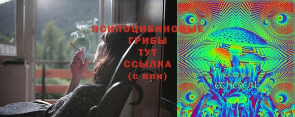 spice Белоозёрский