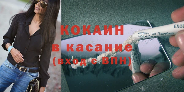 прущие грибы Семилуки